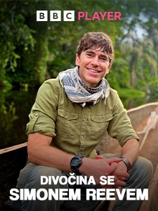 obrázok