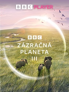 obrázok