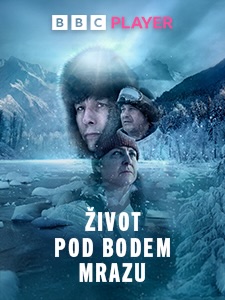 obrázok